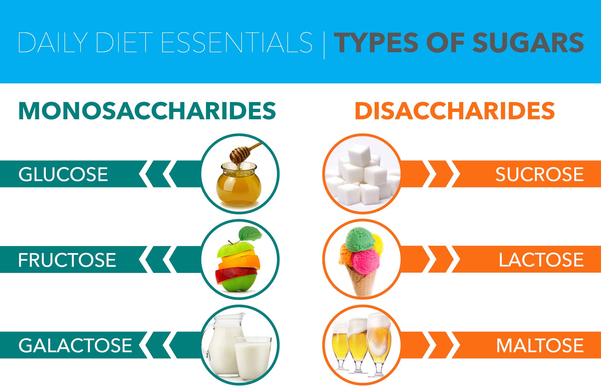 galactose foods